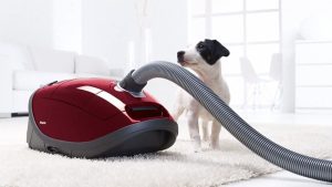 پاک کردن موی حیوانات خانگی از روی فرش