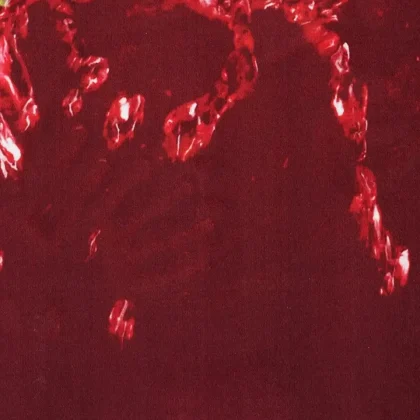 فرش آشپزخانه طرح 100485 تمام رنگ 700 شانه