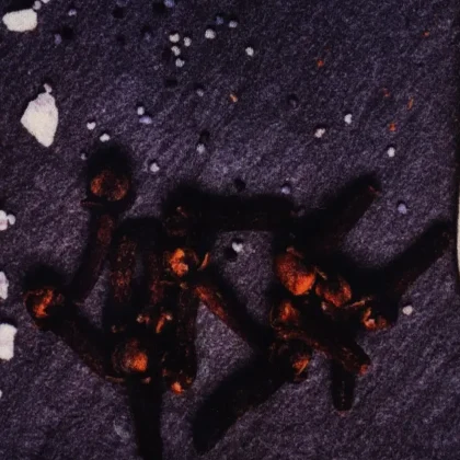 فرش آشپزخانه طرح 2544032090 تمام رنگ 700 شانه