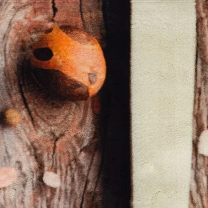 فرش آشپز خانه طرح 2544040090 تمام رنگ 700 شانه