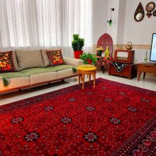 فرش فرح کد 1214 لاکی 1200 شانه آرمانی